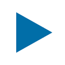 Payline Data logo